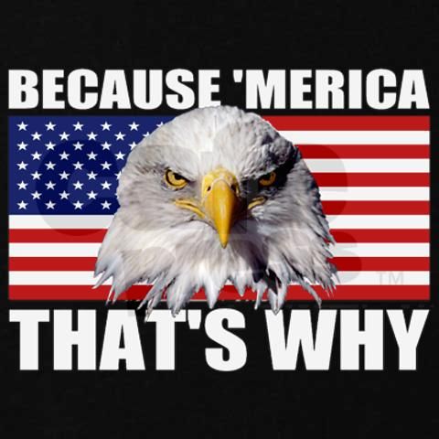 because_merica_thats_why_us_flag_american_eagle_sw_zpsdd8489e9.jpg
