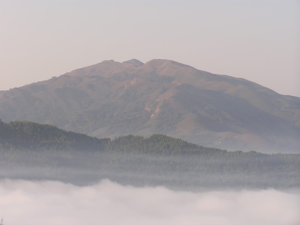 Sahyaadri Range