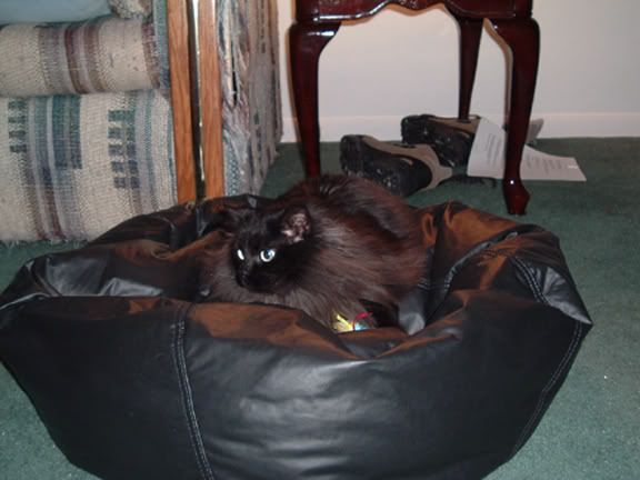 maxbeanbag.jpg