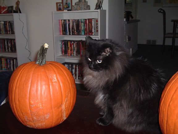 maxpumpkin.jpg