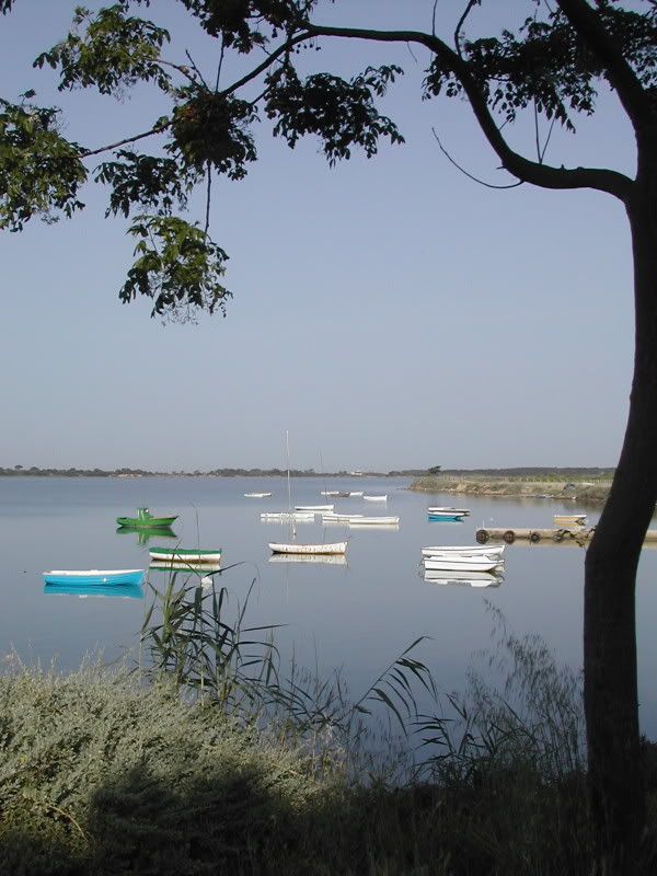 BirgiTR23.jpg