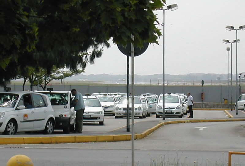BirgiTR36.jpg