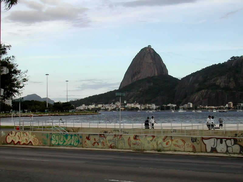 104-PandiZucchero.jpg