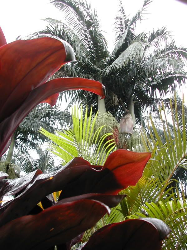 14-giardino1.jpg