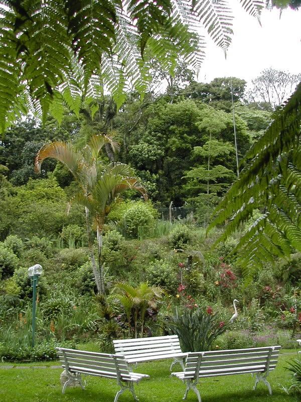 15-giardino2.jpg