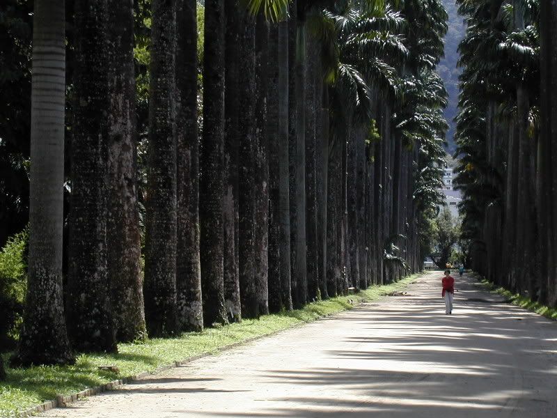 91-jardimbotanico.jpg
