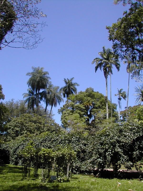 93-JardimBotanico3.jpg