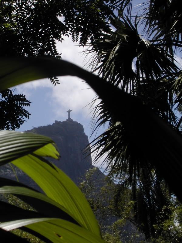 95-JardimBotanico5.jpg