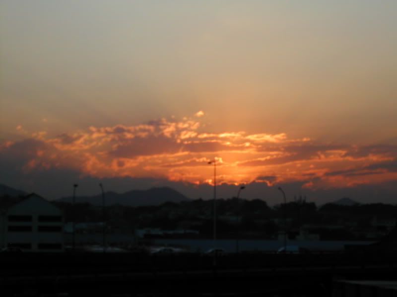 DSCN5938.jpg