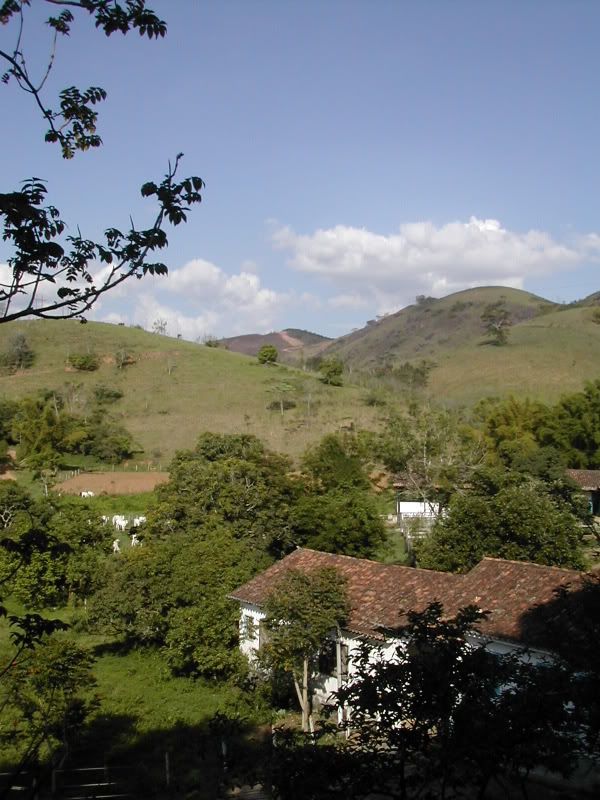 DSCN6113.jpg