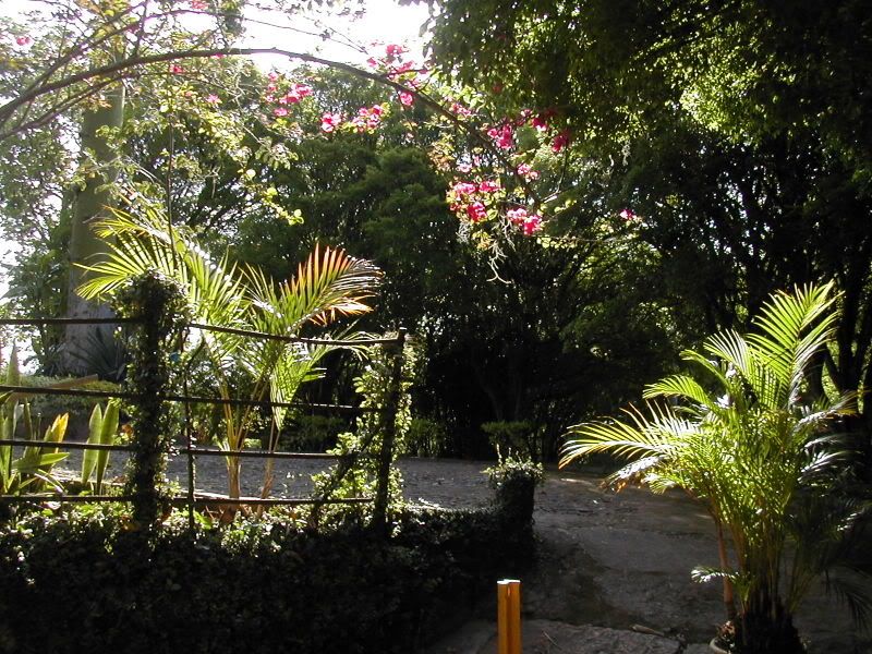 DSCN6114.jpg