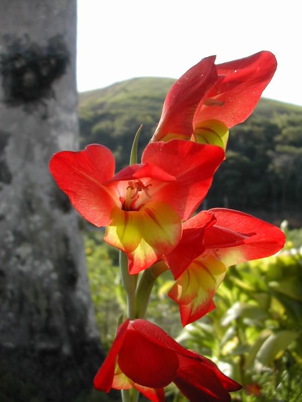 DSCN6127.jpg
