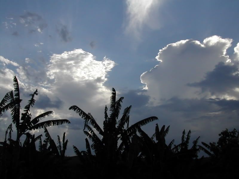 DSCN6132.jpg