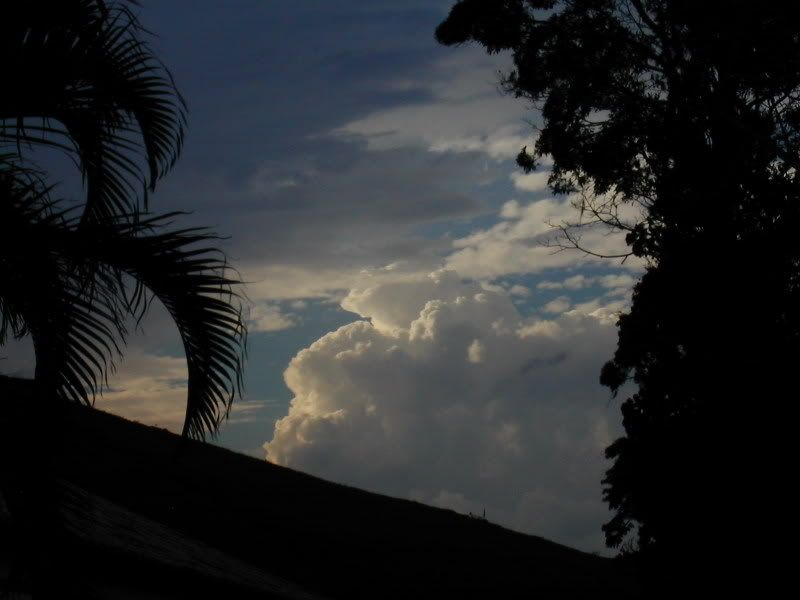DSCN6135.jpg