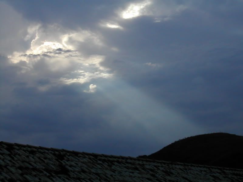DSCN6136.jpg