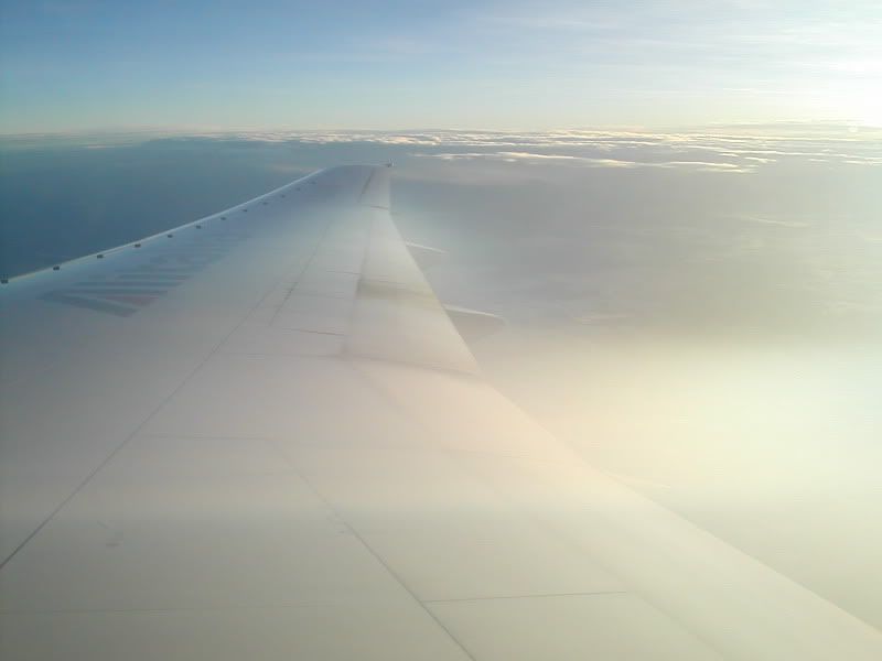 DSCN6175.jpg