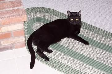 Jack lounging