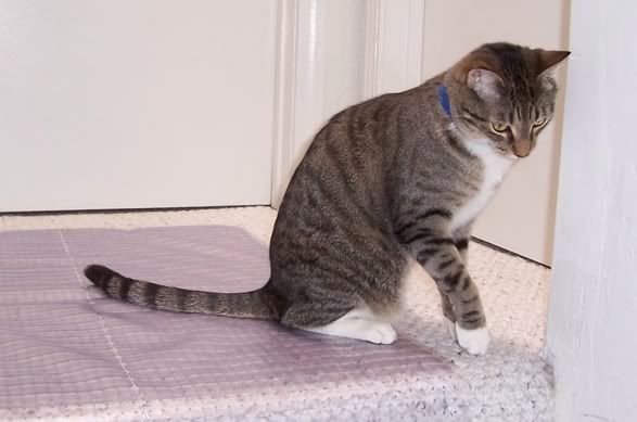 Tom playing