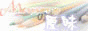 logo7.gif image by eway