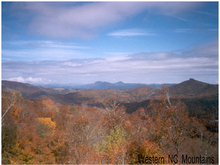 Once. - Homesteading Questions