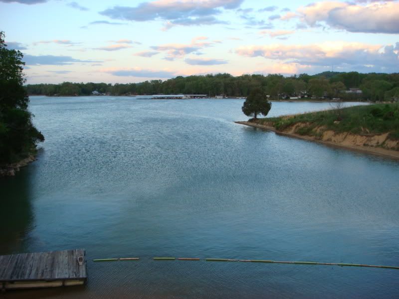 DSC06529.jpg