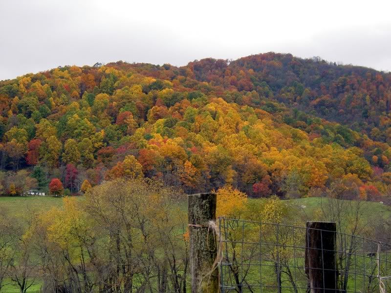 fall06007-1.jpg