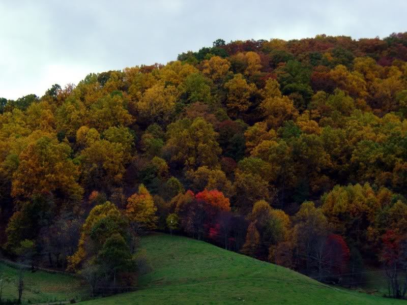 fall06015.jpg