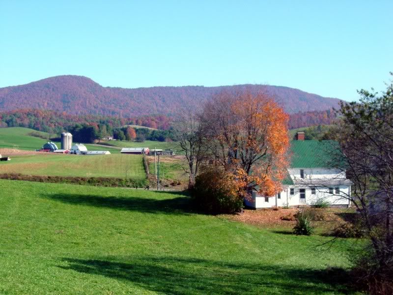 fall06030.jpg