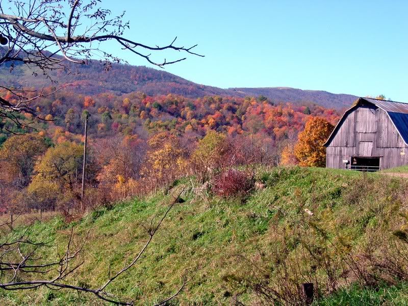 fall06046.jpg