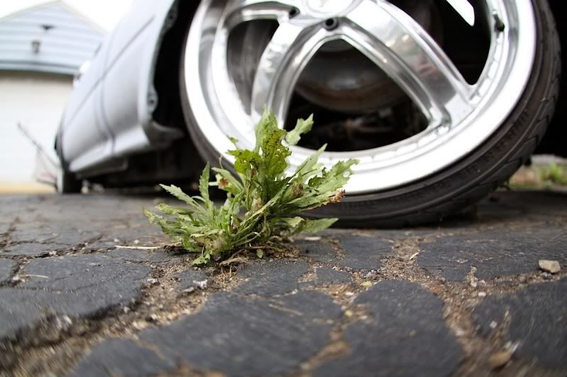 IMAGE: http://i6.photobucket.com/albums/y234/FlatblackNoma/IMG_7230.jpg