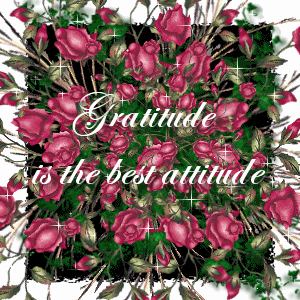Gratitude