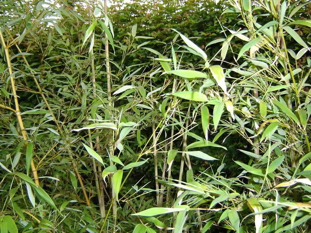 Image hosted by Photobucket.com