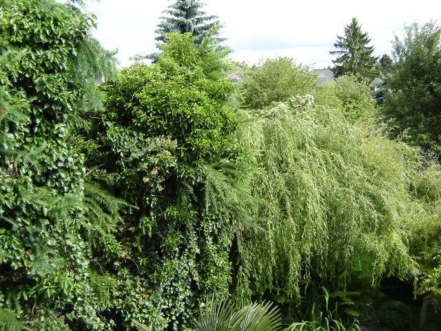 Image hosted by Photobucket.com