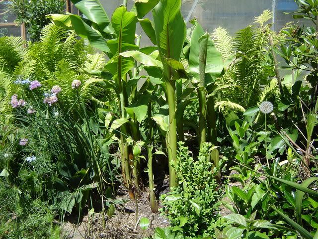 Image hosted by Photobucket.com