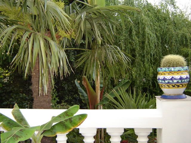 Image hosted by Photobucket.com