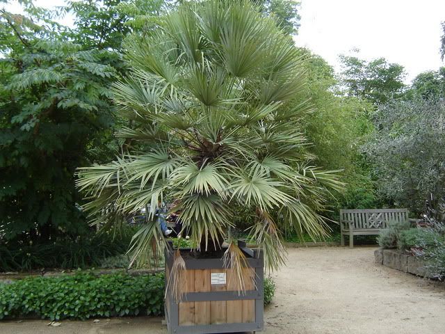 Image hosted by Photobucket.com