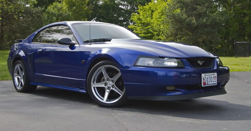 IMAGE: http://i6.photobucket.com/albums/y234/gbgirl79/IMG_5301.jpg