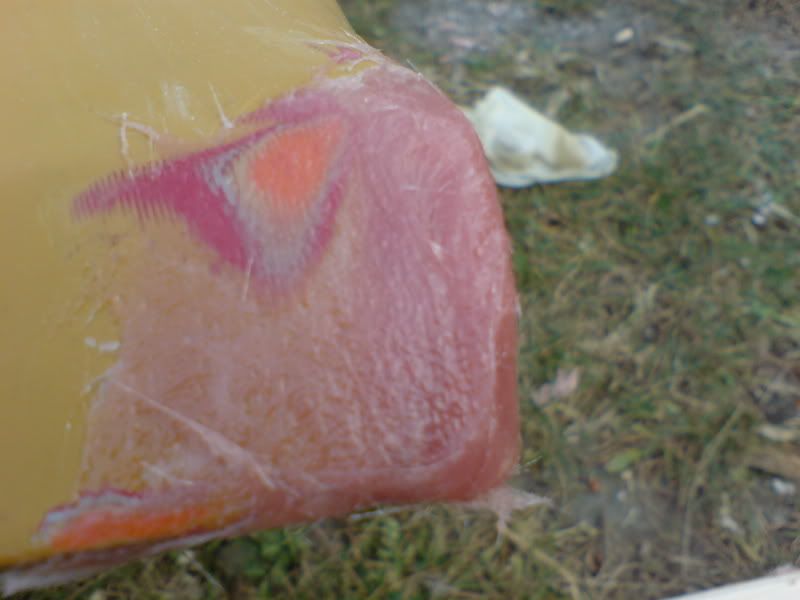 Image may have been reduced in size. Click image to view fullscreen.