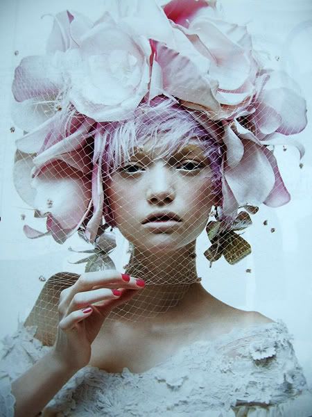 gemma ward photography. Gemma ward Image