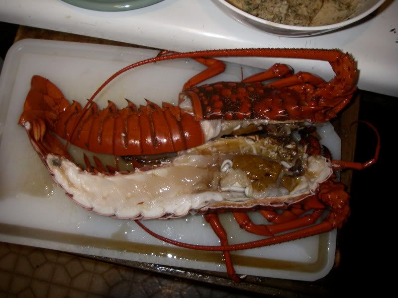 lobstersplit.jpg