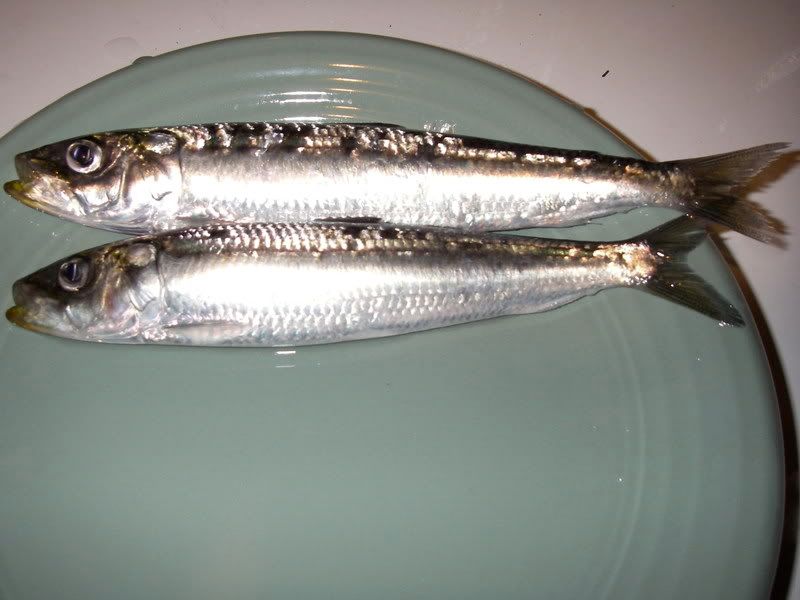 sardines2.jpg