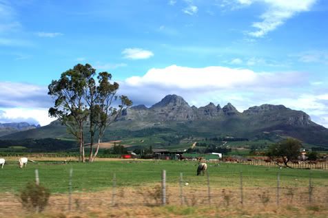 Stellenbosch