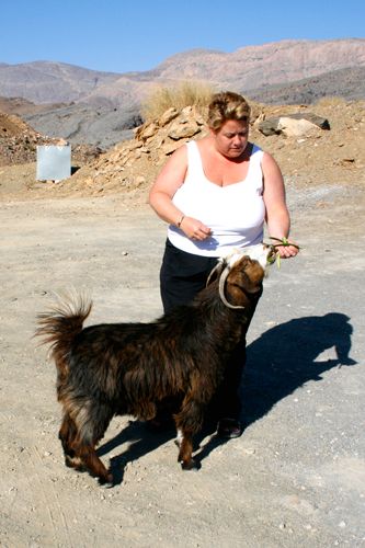 Alice feeds the goat