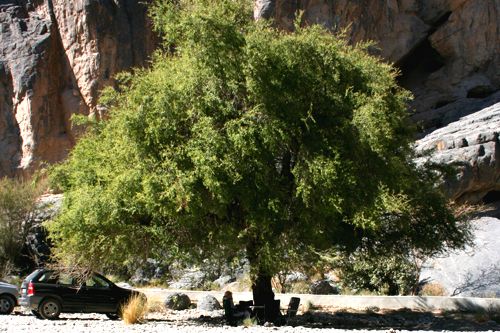 Lunch in the shade at Wadi Damm