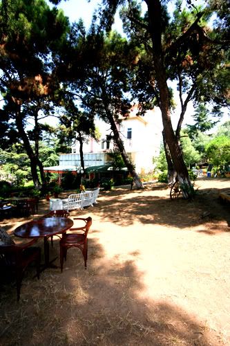 The hotel garden