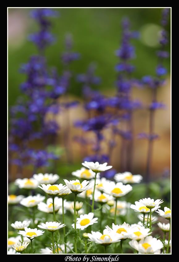 Image hosting by Photobucket