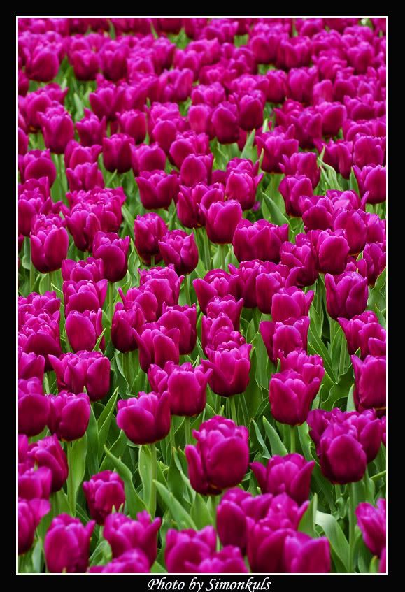 Image hosting by Photobucket