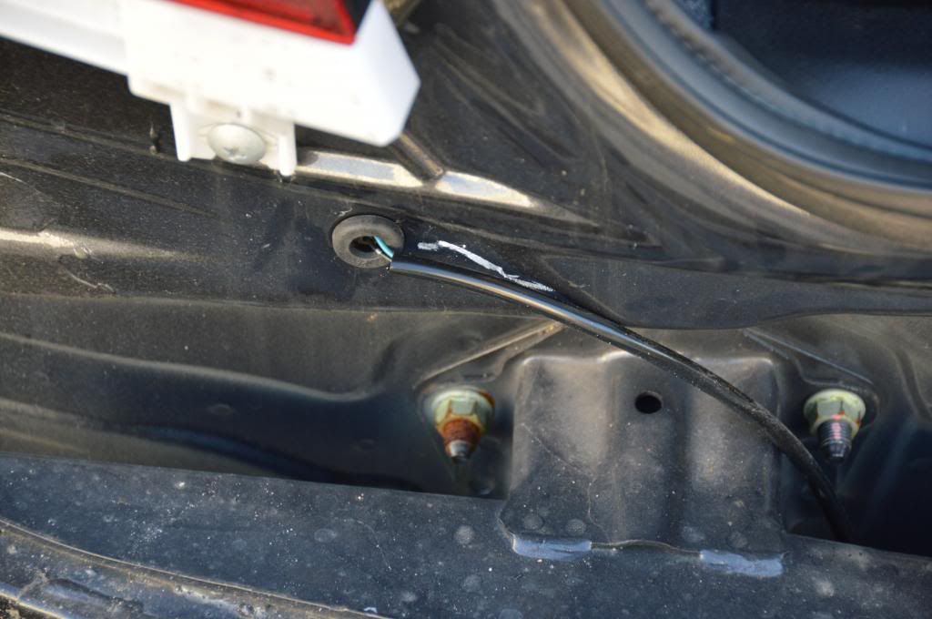 [Image: DSC_0782_zps843a9e06.jpg]