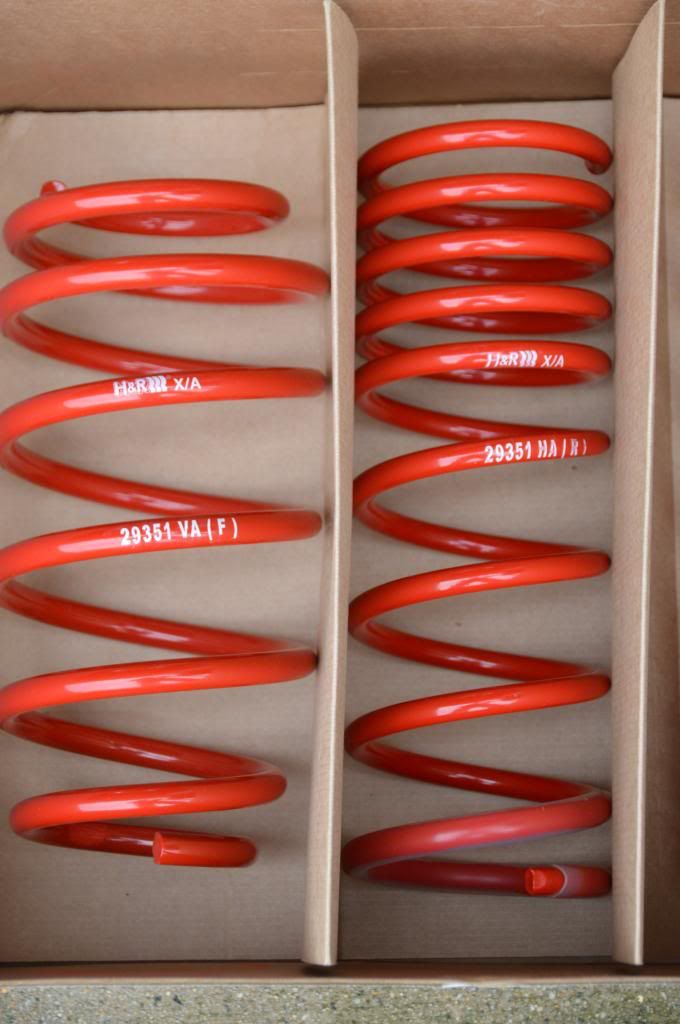 [Image: DSC_0893_zps3b4a695b.jpg]