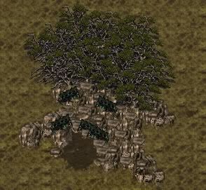 user posted image